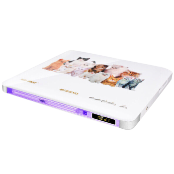 先科（SAST）PDVD-936A DVD播放机 巧虎播放机CD机VCD DVD光盘光驱播放器 影碟机 USB音乐播放机 白色