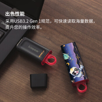 金士顿（Kingston）256GB USB3.2 Gen 1 U盘 DTX 个性化熊猫印刷款