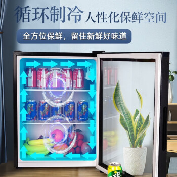 美菱（MeiLing）79升 小型冰吧家用 茶叶水果护肤品保鲜柜 单门立式冷藏柜 办公商用展示柜SC-79L
