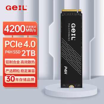 GEIL金邦 2TB SSD固态硬盘 M.2接口(PCIe 4.0 x4)NVMe SSD游戏高性能版 高速4200MB/S P4H系列