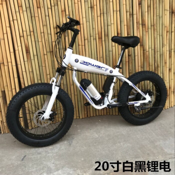 20寸锂电助力自行车电动车雪地车自行车助力车双碟刹铝合金车架宽胎车