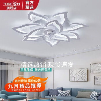 TDREAM隐形智能遥控风扇灯无极调光