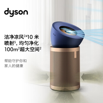 戴森（DYSON）DYSON BP04空气净化器 大面积净化异味过敏原  滤除花粉宠物毛发 输出凉风 【蓝金色】