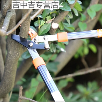 园林粗枝剪 果树修枝剪 大力剪刀粗树枝剪花木园艺工具剪树枝
