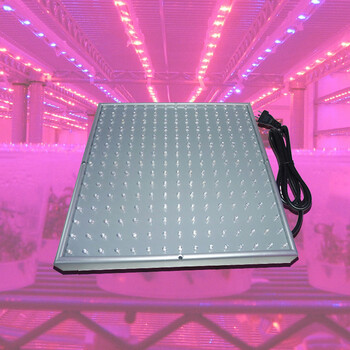 宸华照明LED植物灯 led植物生长补光灯 14W 装饰灯