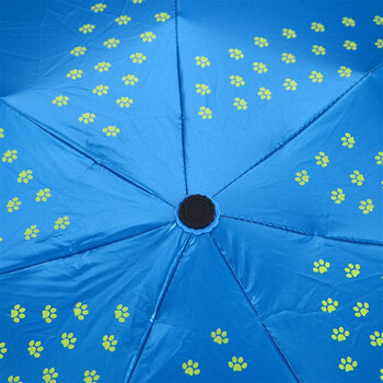 天堂伞 喵恋佳人镜面彩胶五折超轻晴雨伞53009E宝兰色