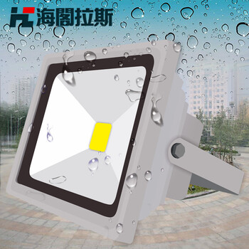 海阁拉斯投光灯景观灯具庭院户外LED投射泛光灯具 30wRGB 220v