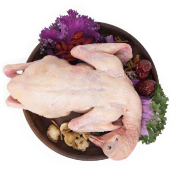 硒全食美 富硒乳鸽 300g/只 供港鸽子 全程冷链
