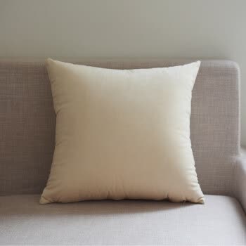 厅沙发抱枕纯色超柔天鹅绒布艺办公室午睡靠枕枕头靠垫套芯r 乳白色