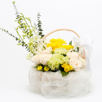 绿韵花田清明节花篮菊花扫墓祭奠追悼念鲜花速递北京上海广州深圳同城送花 B款 情人节价格2月8号到2月15号【图片 价格 品牌 报价】-京东