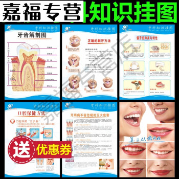 牙科挂图 牙齿解剖图 牙科诊所海报画 牙齿保健与矫正