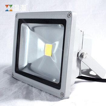 
                                        温漫led投光灯20w30w50w100w户外投射泛光灯广告灯照明灯防水 正白光 100W                