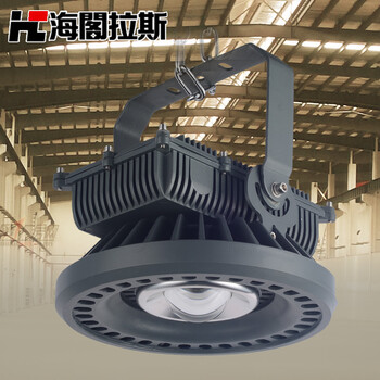 海阁拉斯 LED防爆灯 100W工程加油站灯具 暖白光 100w