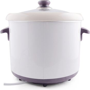 
                                        天际(TONZE)DDG-W310N电炖锅煲汤锅1L                