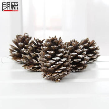 朗森 圣诞树装饰品 5cm圣诞树挂饰原木粘白圣诞松果（6个装）圣诞节圣诞树装饰品 圣诞挂饰 4cm-9个1包