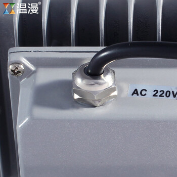 
                                        温漫led投光灯20w30w50w100w户外投射泛光灯广告灯照明灯防水 正白光 100W                