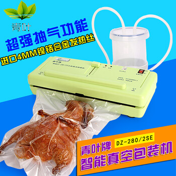 青叶牌DZ-280/2SE干湿两用抽真空机家用真空机包装机 小型真空封口机 食品真空包装机