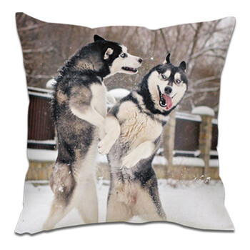 哈士奇抱枕宠物定制搞怪狗头表情包单身狗二哈抱枕神烦狗男生靠垫定制