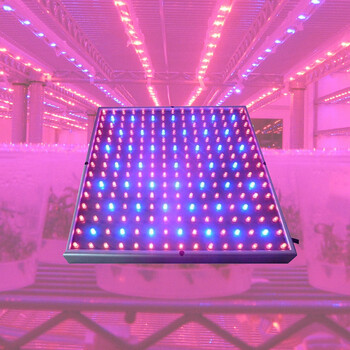 宸华照明LED植物灯 led植物生长补光灯 14W 装饰灯