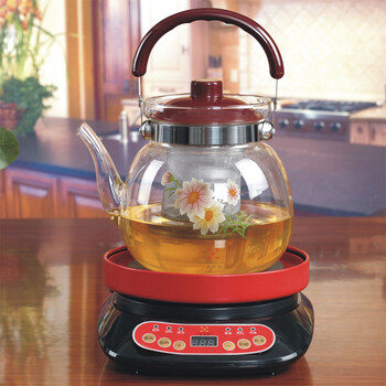 正兴阳 耐高温玻璃水壶多功能电水壶泡茶壶微