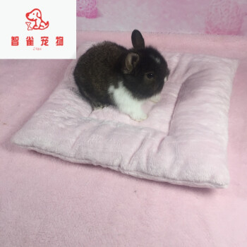 小宠用品 兔子用品 摩索(mosuo) 宠物兔棉垫荷兰猪棉窝龙猫松鼠过冬