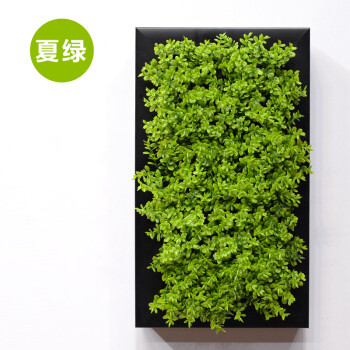 艺贝子仿真植物壁饰挂件客厅立体墙饰花艺壁饰 YBZ-HUA001 夏绿米兰