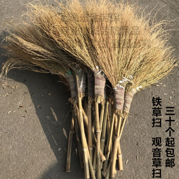 小扫帚铁草扫把草扫把小铁扫小扫把庭院竹柄扫把清洁观音草扫