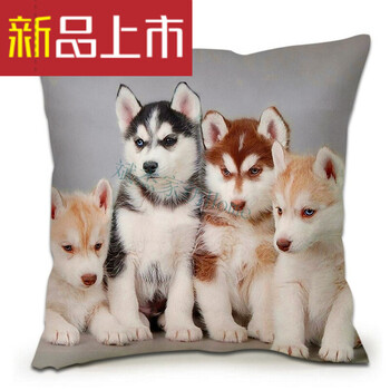 狗年哈士奇抱枕柴犬搞怪狗头表情包单身狗二哈抱枕神烦狗男生靠垫b 小