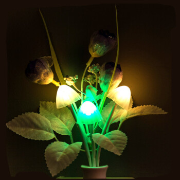 
                                                            【七彩变色】 升级款3D立体七节能七彩led小夜灯 节能床头LED小夜灯 走廊 客厅小夜灯 【触摸款】3D立体小夜灯(泰迪熊)                