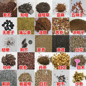 清雅(qingya) 中药材种子草药桔梗白术党参板蓝根黄芪
