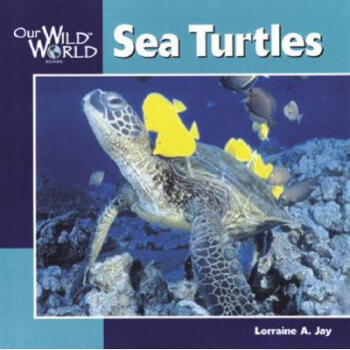 《Sea Turtles》【摘要 书评 试读】- 京东图书