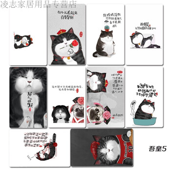 猫咪喵星人可爱卡贴韩国冲印学生饭卡果冻磨砂水晶饭卡贴定制照片饭卡