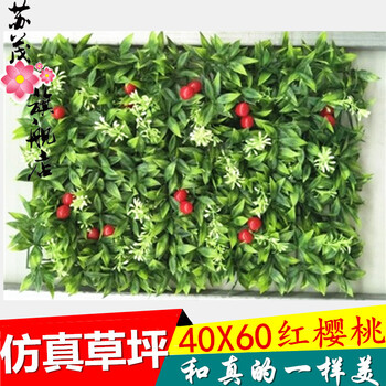 锦语美欣园v苹果苹果植物草坪人造草坪塑料墙墙纸墙室内草坪幼儿园装怎么做阳台xr背景图片