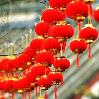 
                                        盛宝植绒小灯笼 婚庆喜庆红灯笼挂件 传统节日小红灯笼串 植绒灯笼10#9CM-16个装                