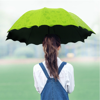 韩国个性女晴雨伞折叠伞 三折伞 创意遇水开花遮阳太阳伞彩虹防晒紫外线黑胶 果绿色