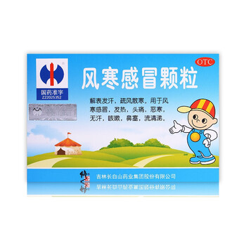 修正 风寒感冒颗粒 8gx8袋