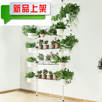 正品多层铁艺绿萝花架阳台客厅落地面挂式实木高花盆架多肉花架子 3