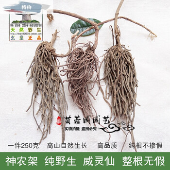 洋子资材高山 威灵仙整根 野生百条根老虎须无硫腰腿泡酒250克