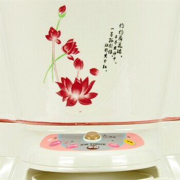 天际（TONZE）养生壶煎药壶3L/3升BJH-400BP