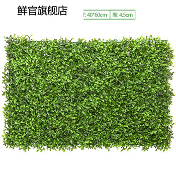仿真植物墙墙门草皮头假绿色墙面墙室内阳台装饰背景绿植壁挂背景地毯墙可以改吗图片