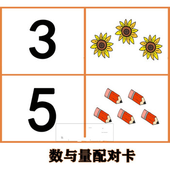 数与量配对 认知卡片自闭症儿童孤独症康复训练卡语言
