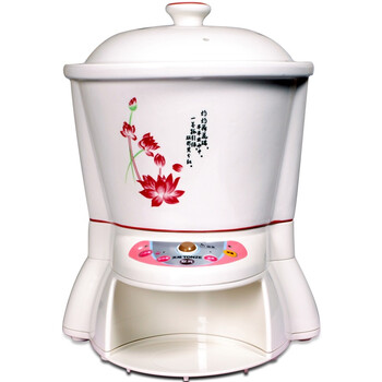 天际（TONZE）养生壶煎药壶3L/3升BJH-400BP