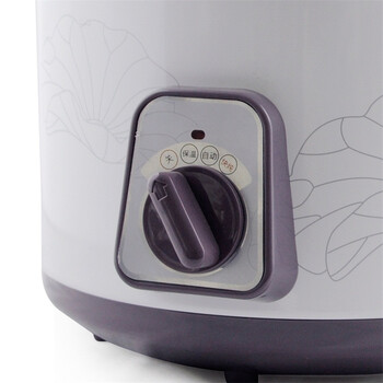 
                                        天际(TONZE)DDG-W310N电炖锅煲汤锅1L                