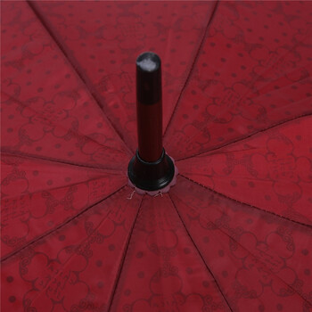 天堂 韩版Chicaloca春华绸 直杆晴雨伞CA1502 酱红色