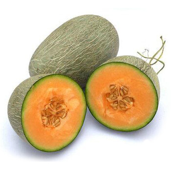 多美汁 新鲜水果新疆西域蜜瓜 西州蜜甜瓜哈蜜
