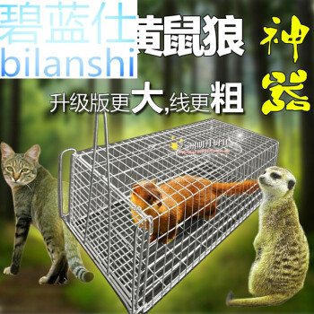 碧蓝仕野鸡黄鼠狼捕抓器诱捕笼器捕猫笼抓猫器捉猫兔子松鼠笼子特大号