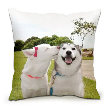 狗年哈士奇抱枕柴犬搞怪狗头表情包单身狗二哈抱枕神烦狗男生靠垫 小