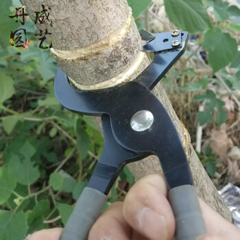 水净园 新型环剥钳枣树环剥工具 环剥刀 开甲器割树皮果树 环割剪