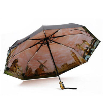 
                                        菲亚莉 雨伞 女 双层黑胶油画伞 晴雨两用Umbrella 蓝色                