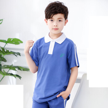统一小学生校服 男款春夏季运动装 短袖上衣t恤 男短袖(小学) 130cm